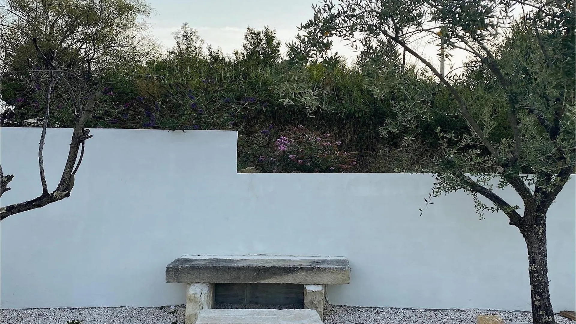 Villa Olivi Мотовун Дом отдыха